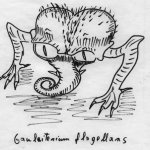 Gauleiterium flagellans